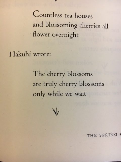 Hakuhi wrote: the cherry blossoms are cherry blossoms only while we wait